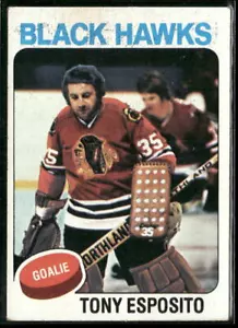 1975-76 Topps #240 Tony Esposito Chicago Blackhawks HOF - Bild 1 von 2