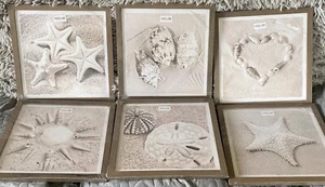 Beach Shells Wall Art by Sunflax in Black and White 12”x12” Set Of Six - Picture 1 of 9