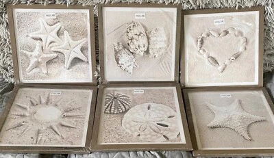 Beach Shells Wall Art by Sunflax in Black and White 12”x12” Set Of Six - Image 1 of 4
