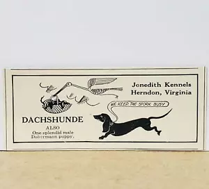 Jonedith Kennels Daschund(e) 1934 DRUCKANZEIGE Edith Groves Storch Logo Virginia - Bild 1 von 2