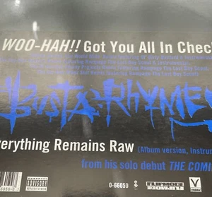 Busta Rhymes Woo Hah- $4.99 Warehouse BINS - STEALS! READ DESCRIPTION - Picture 1 of 1