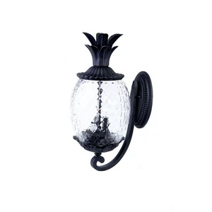 Acclaim Lighting Lanai Collection 2-Light Matte Black Outdoor Wall Lantern - Picture 1 of 3