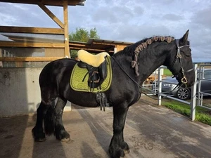 Funda piel de cordero silla de montar inglesa hasta 17,5", curtido nuevo bueyes - Imagen 1 de 5