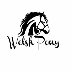 Calcomanía adhesiva de caballos PONY GALÉS - Imagen 1 de 1