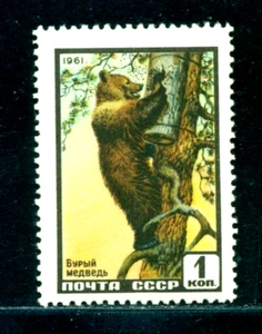 Russia 1961 Wild animals, Brown bear/ Ursus arctos, Mi. 2448, MNH - Picture 1 of 1