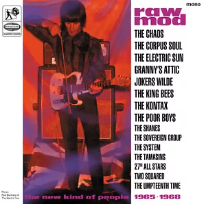 RAW MOD 'The New Kind Of People 1965 - 1968' Top Sounds CD British Beat - Picture 1 of 4