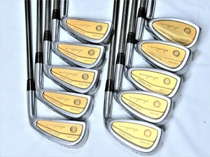 4star Gold Mole Honma LB-606 H&F Perfect 10pc R-FLEX IRONS SET Golf NWO - Picture 1 of 8