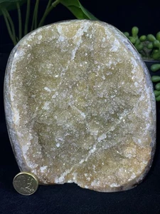 3.6KG Natural Uruguay Sparkle Light Purple Amethyst on Unique Golden Base Geode - Picture 1 of 13