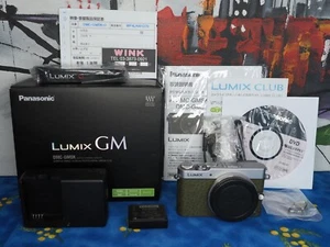 Panasonic GREEN LUMIX GM5 w/Box, English, 177 clics, in very good condition - Picture 1 of 20
