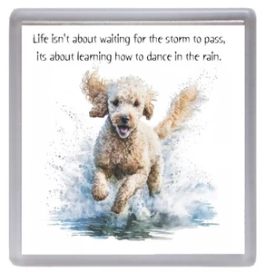 Poodle Dog Coaster/Drinks Mat "Life isn't about...... - Picture 1 of 3