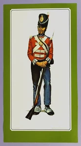 Guardias Coldstream británicos privados 1815 - impresión Greensmith vintage 28 x 52 cm - Imagen 1 de 3