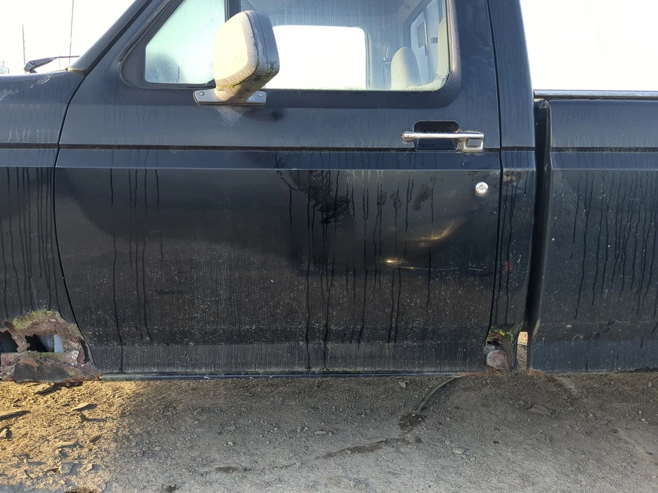 1995-1996 Ford F-150 Driver Front Door Oem P3C00 Foto 1 de 2