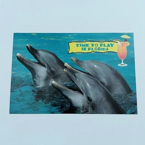 Florida Postcard Dolphins Time To Play In Florida Greetings From FL - Picture 1 of 8