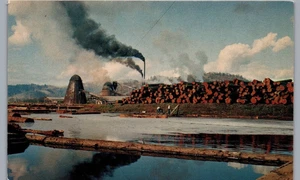 Cartolina d'epoca storica California anni 50-60 tronchi di legname stagno e segheria - Foto 1 di 2