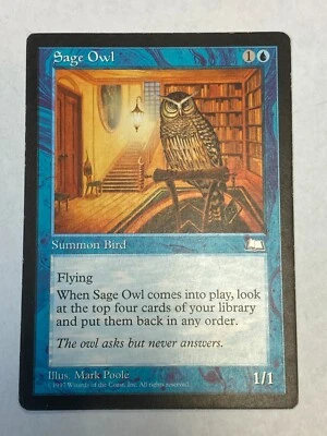 Sage Owl - Weatherlight - Magic the Gathering MTG Nice! - Image 1 of 3