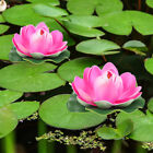 5 Stück Schwimmende Lotus-Dekoration für Aquarium und Garten