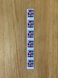 Bund Blumen 6er Streifen Übergang MiNr 3088 Tausendgüldenkraut postfrisch Rolle - Bild 1 von 2