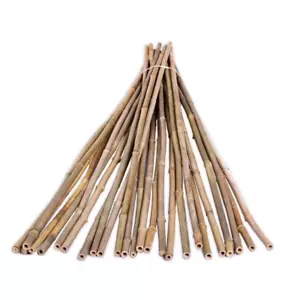 Natural Bamboo Pole Plant Stake Support 25-PACK 1/2 in. x 6 ft. Garden Stakes - Picture 1 of 12