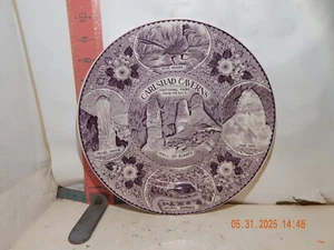 Carlsbad Caverns National Park souvneir plate-Enco National, Fine Staffordshire - Imagen 1 de 2
