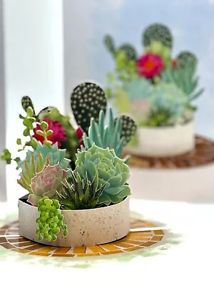 ORIGAMI POP CARDS Cactus & Succulent Garden Happy Birthday Pop Up Card Handmade - Image 1 of 4