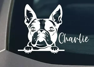 Peeking Boston Terrier Dog Car Decal Vinyl Window Sticker Personalize with name - Picture 1 of 10