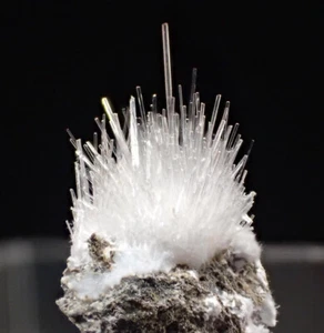 136 Natrolith Torbermorit ca 1x1x0,5 cm Maroldsweisach Germany - Bild 1 von 3