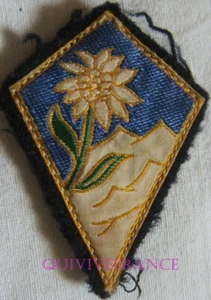 IN21550 - STOFFABZEICHEN 17. Alpenbrigade, Typ 2214, hellgrün, 63 mm - Bild 1 von 2