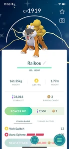 Pokemon Shiny Raikou! Angemeldet oder Abgemeldet! 30 Tage Freundschaft!! Go - Bild 1 von 1