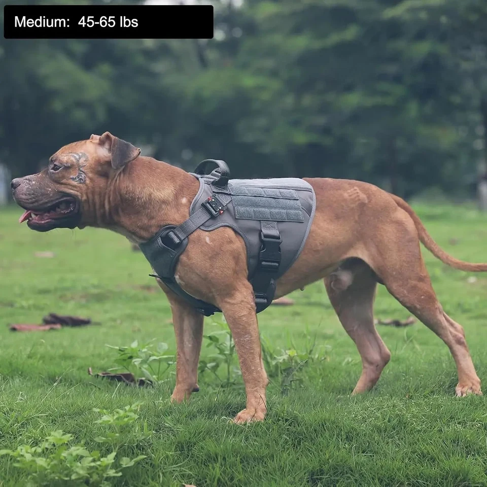 Arnés táctico para perros sin tirar con asa - Chaleco ajustable de alta resistencia (todas las tallas) Foto 1 de 4