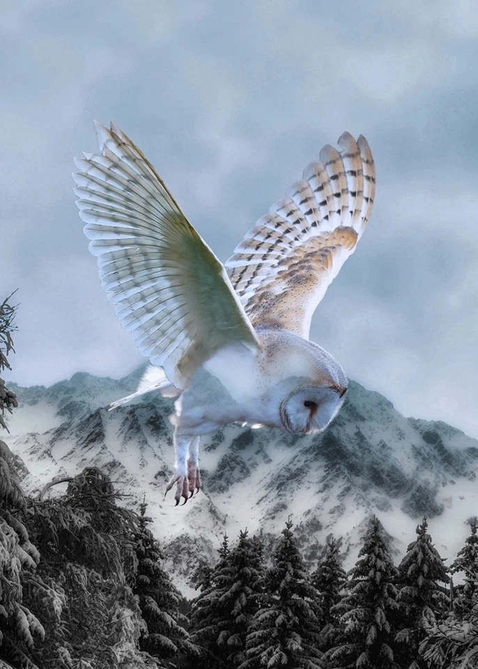 Hoffman Call Of The Wild Winter Snowy Barn Owl Quilt Panel 31" x 43" - Image 1 of 1