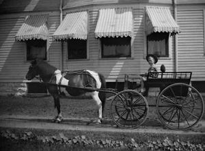 Negativo fotográfico vintage de principios de 1900 carruaje tirado a caballo de niño nuevo - Imagen 1 de 1