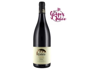 FERRUCCIO CARLOTTO PINOT NERO FILARI DI MAZZON 2020 VINO ROSSO ALTO ADIGE DOC - Imagen 1 de 1