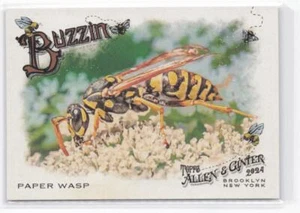 2024 Topps Allen & Ginter Paper Wasp #BUZ-14 Buzzin' - Picture 1 of 2