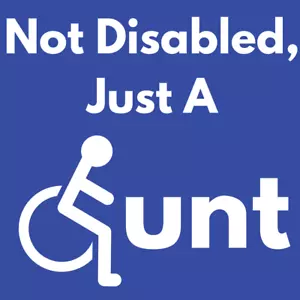 FUNNY CAR STICKERS NOT REALLY DISABLED JUST A C#NT CAR DECALS CAR WINDOW STICKER - Picture 1 of 1