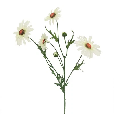 Kunstblume MARGERITENZWEIG ca. 60 cm. Künstliche Margerite 4 Blüten CREME WEISS - Bild 1 von 2