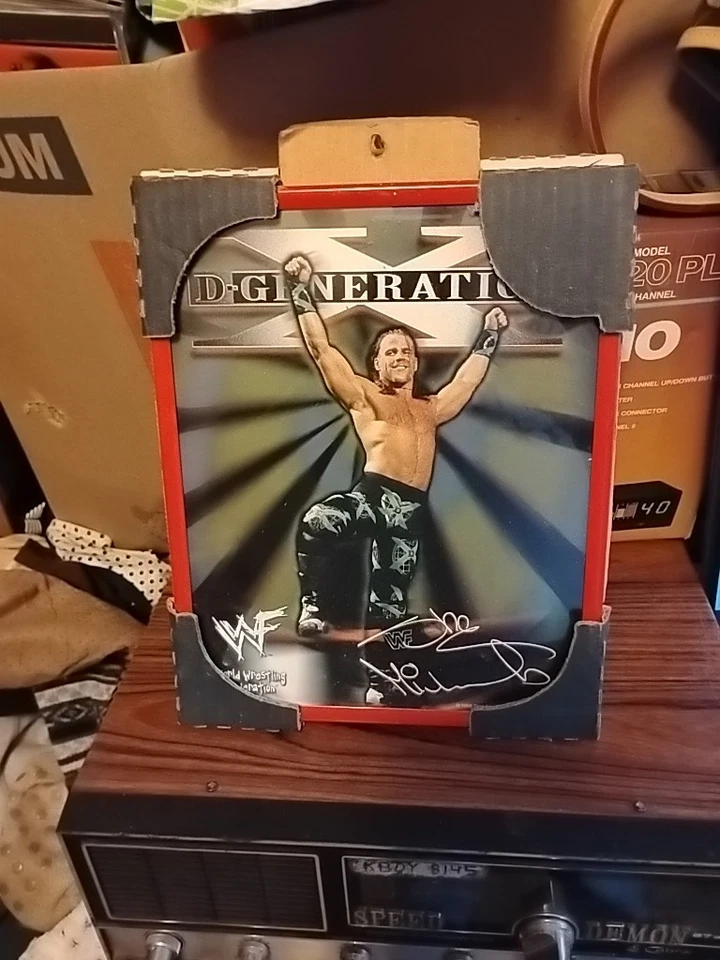 De colección WWF WWE DX Shawn Michaels D-Generación X Foto Enmarcada Facsímil Automático  Foto 1 de 1