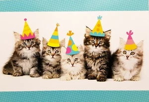 "From The Whole Kitten CABOODlE!" Hallmark Happy Birthday Greeting Card - Bild 1 von 4