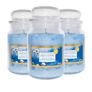 3 CANDELE PROFUMATE GIARA STILE YANKEE CANDLE 510gr IN VETRO FIORI COTONE - Foto 1 di 7