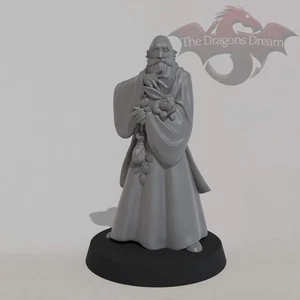 Merlín - Mago - Dungeons and Dragons, DnD, 5e, Pathfinder - Miniatura - Imagen 1 de 5
