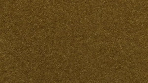 NOCH hierba silvestre, modelismo realista hierba, 6 mm marrón, 50 g para anchos de vía - Imagen 1 de 7