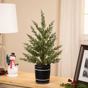 Northlight Potted Pine Blueberry Artificial Christmas Tree - 23" - Unlit - Picture 1 of 9
