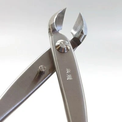 Kaneshin Bonsai Tools #803 Cortador cóncavo de acero inoxidable borde redondo 180 mm (7,08") Foto 1 de 4