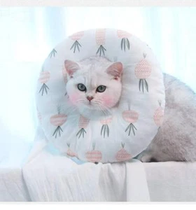 Whisker Wonderland Katzenhalsband - Bild 1 von 27