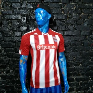 Stoke City Jersey Home football shirt 2010-2011 Adidas P46709 Trikot Mens SZ S - Picture 1 of 11