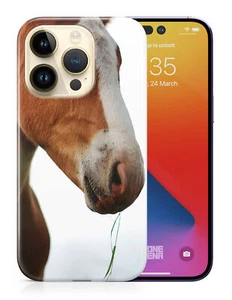 CASE COVER FOR APPLE IPHONE|MAJESTIC HORSE ANIMAL 17 - Bild 1 von 44