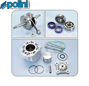 KIT GRUPPO TERMICO Ø50+ALBERO MOTORE CUSCINETTI POLINI APRILIA RS RS4 50 DERBI - Picture 1 of 1