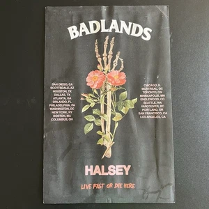 Halsey Badlands Live Fast or Die Here Tour Poster 2015 Water Damage By Halsey - Bild 1 von 1