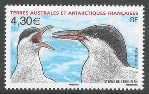 FSAT French Southern # 429 MNH PO Fresh & Flawless! ('25 SCV $12) - Imagen 1 de 1