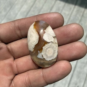 24g Flower Agate Oval Cabochon Flower Agate Crystal Cab - Picture 1 of 3