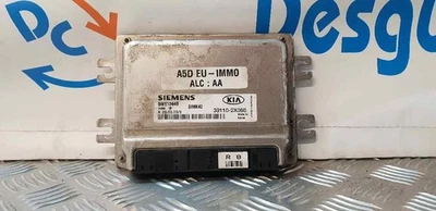 5WY1344B CENTRALINA MOTORE / 391102X066 / 3133790 PER KIA RIO IPANEMA BERLINA - Immagine 1 di 3